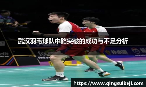 武汉羽毛球队中路突破的成功与不足分析